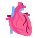 Cardiovascular
